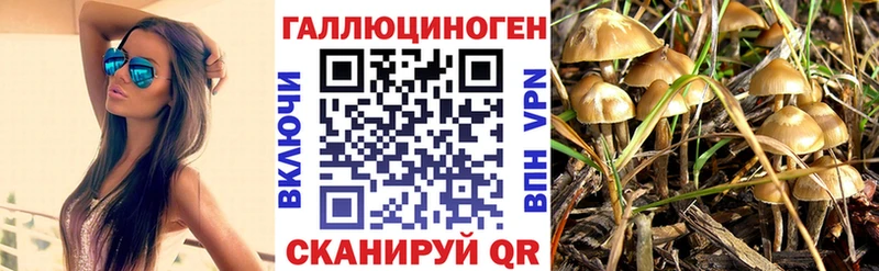 купить наркотик  Крым  Псилоцибиновые грибы прущие грибы 